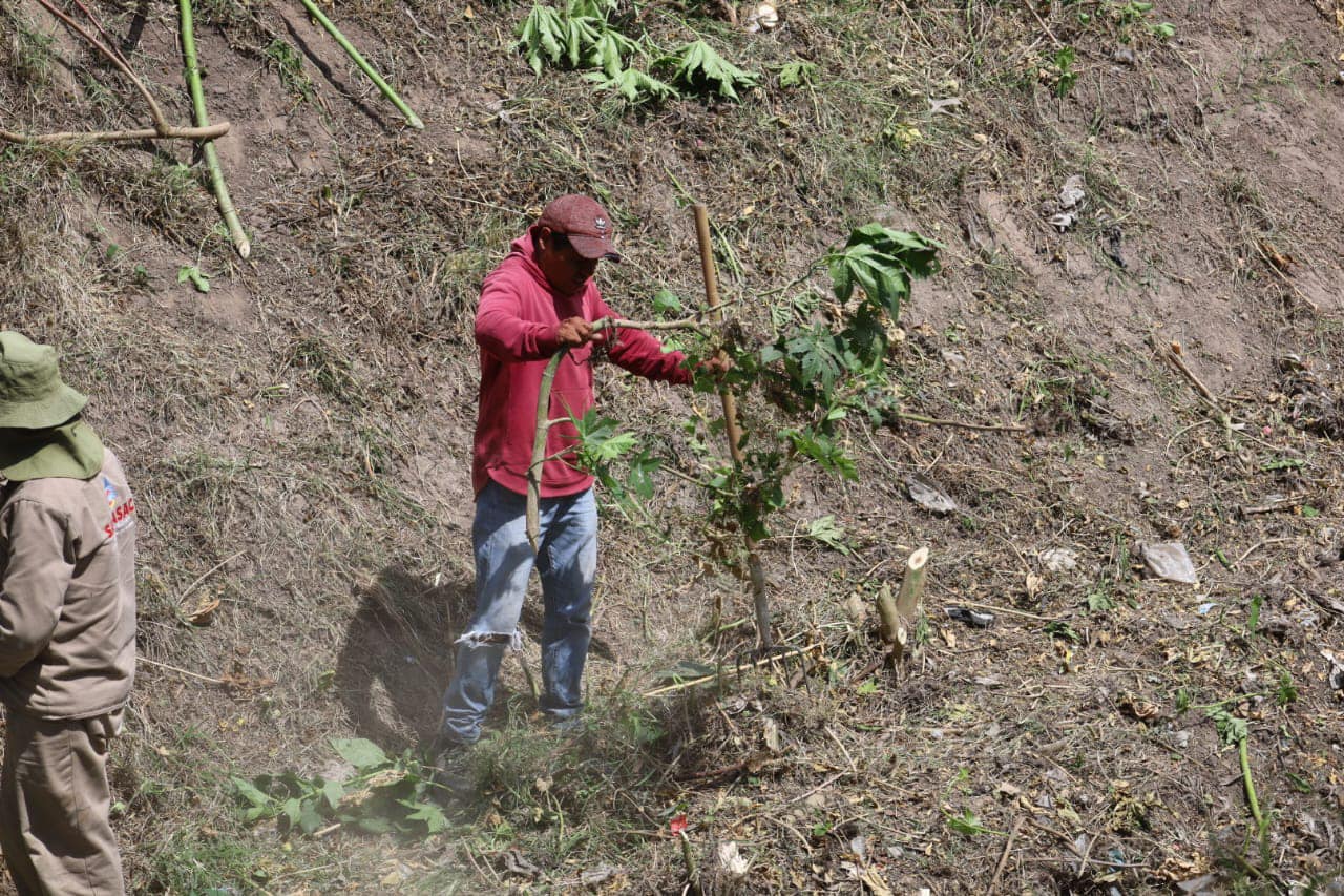 1687960901 Personal de Sapasac continua realizando trabajos preventivos en la barranca