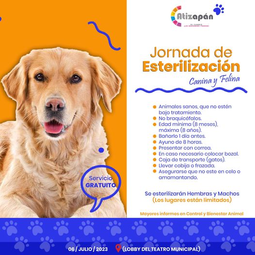 1687961204 Registra a tu mascota en las oficinas de Control y