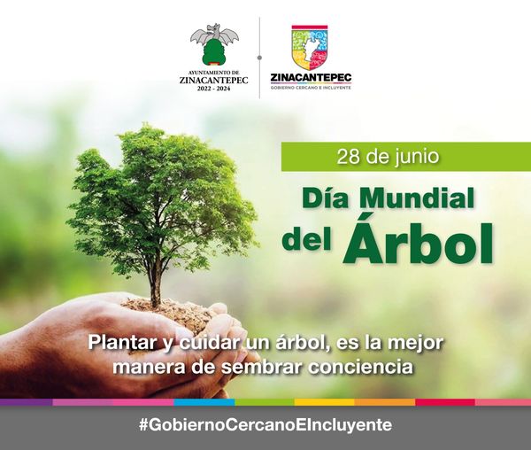 El Día 28 De Junio Se Conmemora El Día Mundial Del Árbol El Objetivo