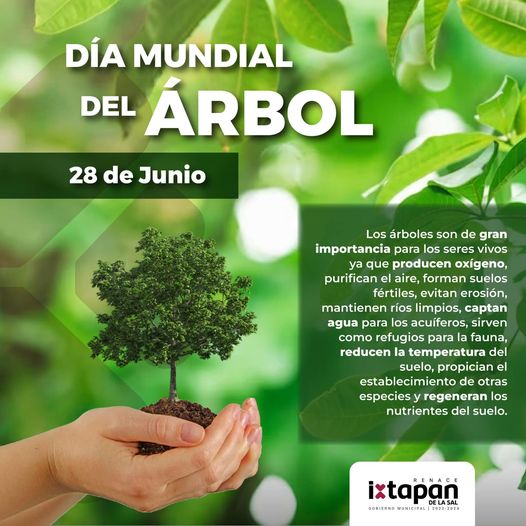 Cada árbol Es Una Fuente De Vida Es Fundamental Para Que Se