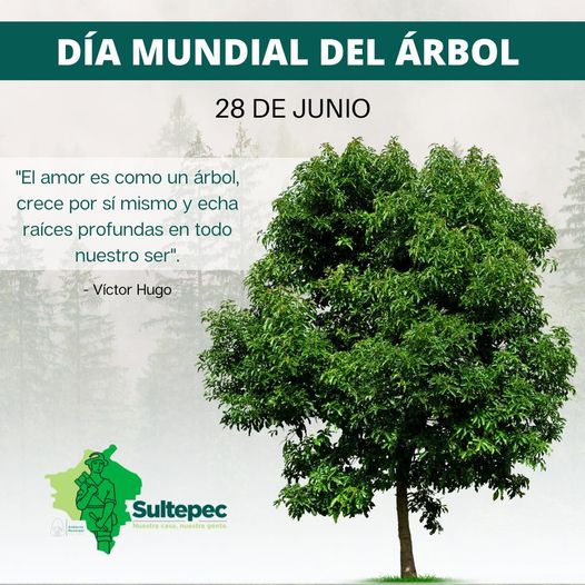 1687969011 28 de junio Dia Mundial del Arbol