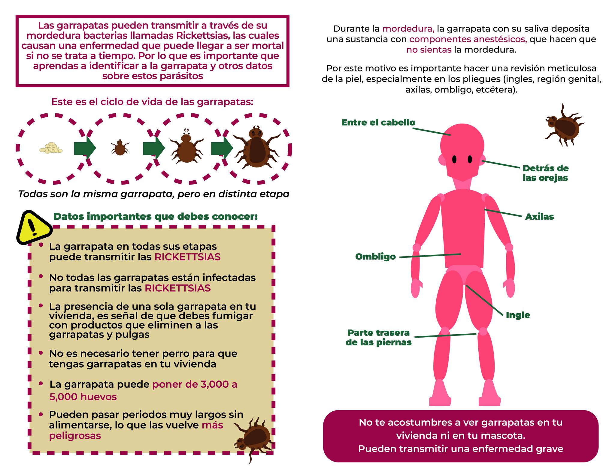 1687977503 199 SaludPublica Tultitlan JornadaNacional de Prevencion de las Rickettsiosis