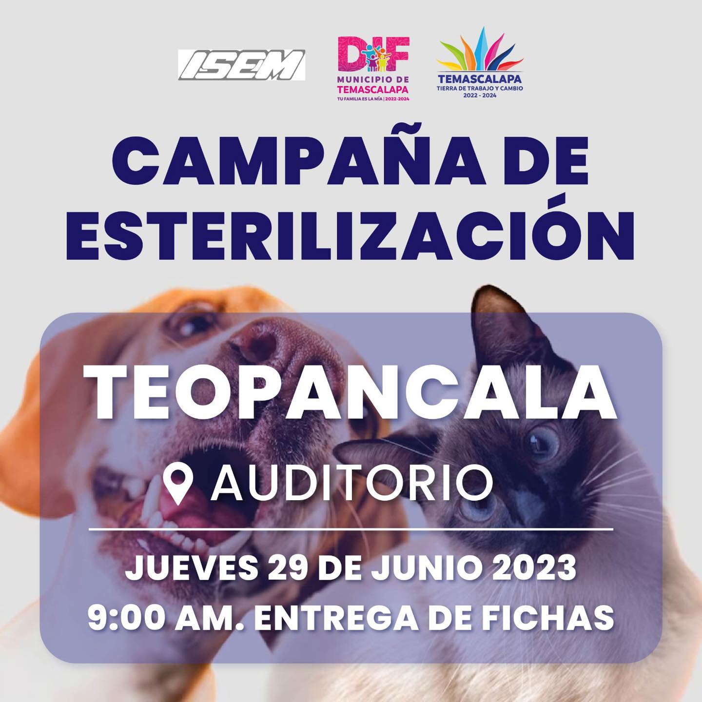 1687978478 Las campanas de esterilizacion tienen un objetivo muy importante contribuyen