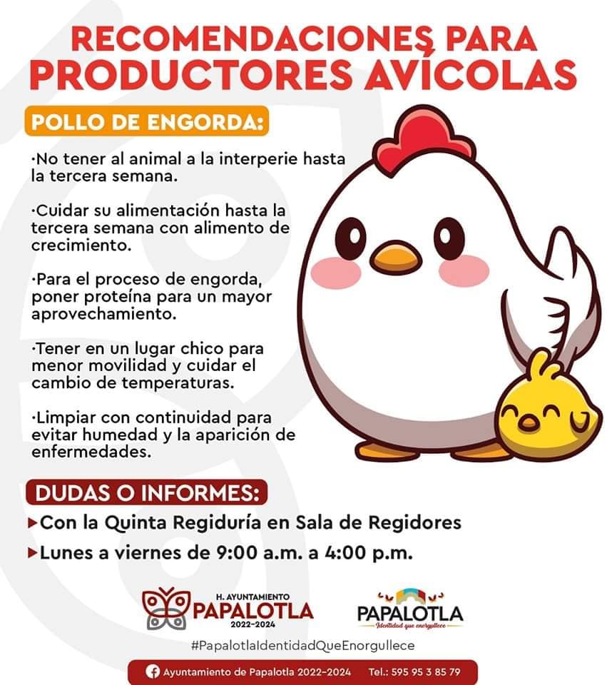 1687978948 783 Recomendaciones Productor ra avicola compartimos la siguiente informacio