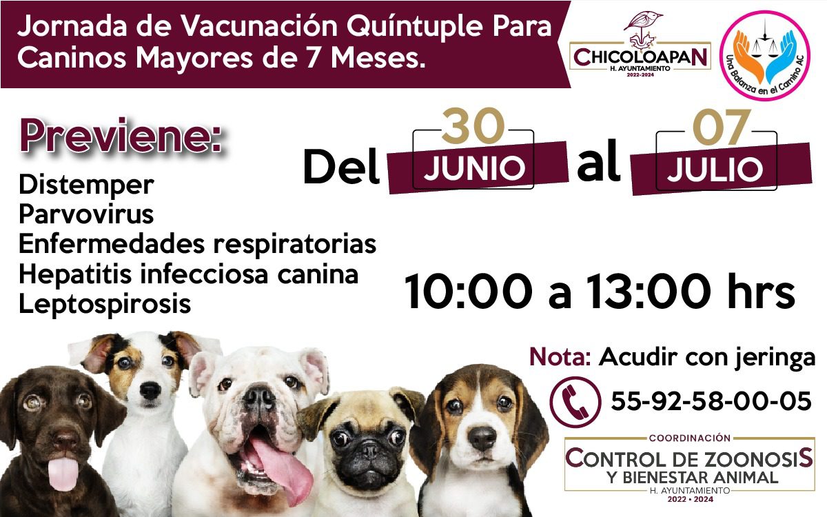 1687994603 122 Este viernes 30 de junio comienzan las JORNADAS DE VACUNACION