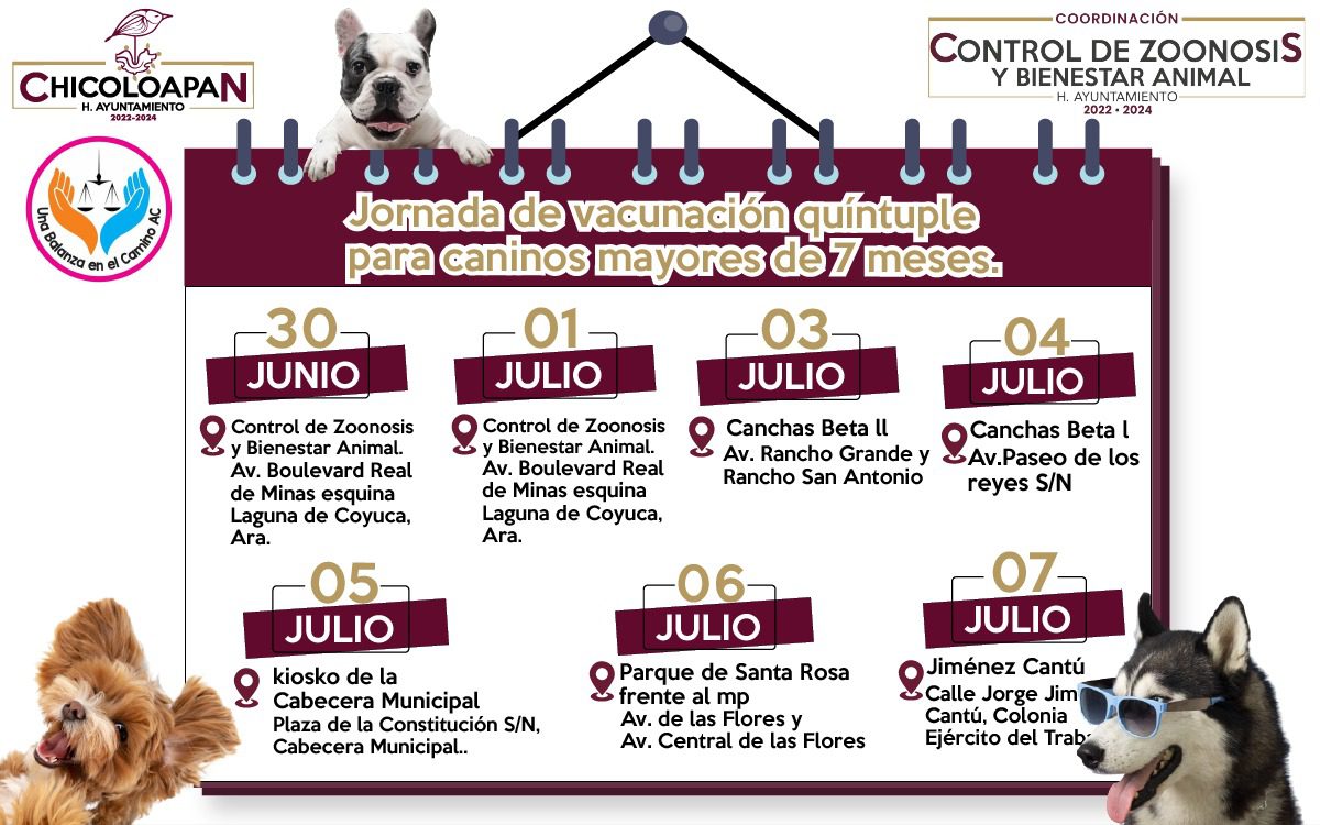 1687994642 Este viernes 30 de junio comienzan las JORNADAS DE VACUNACION