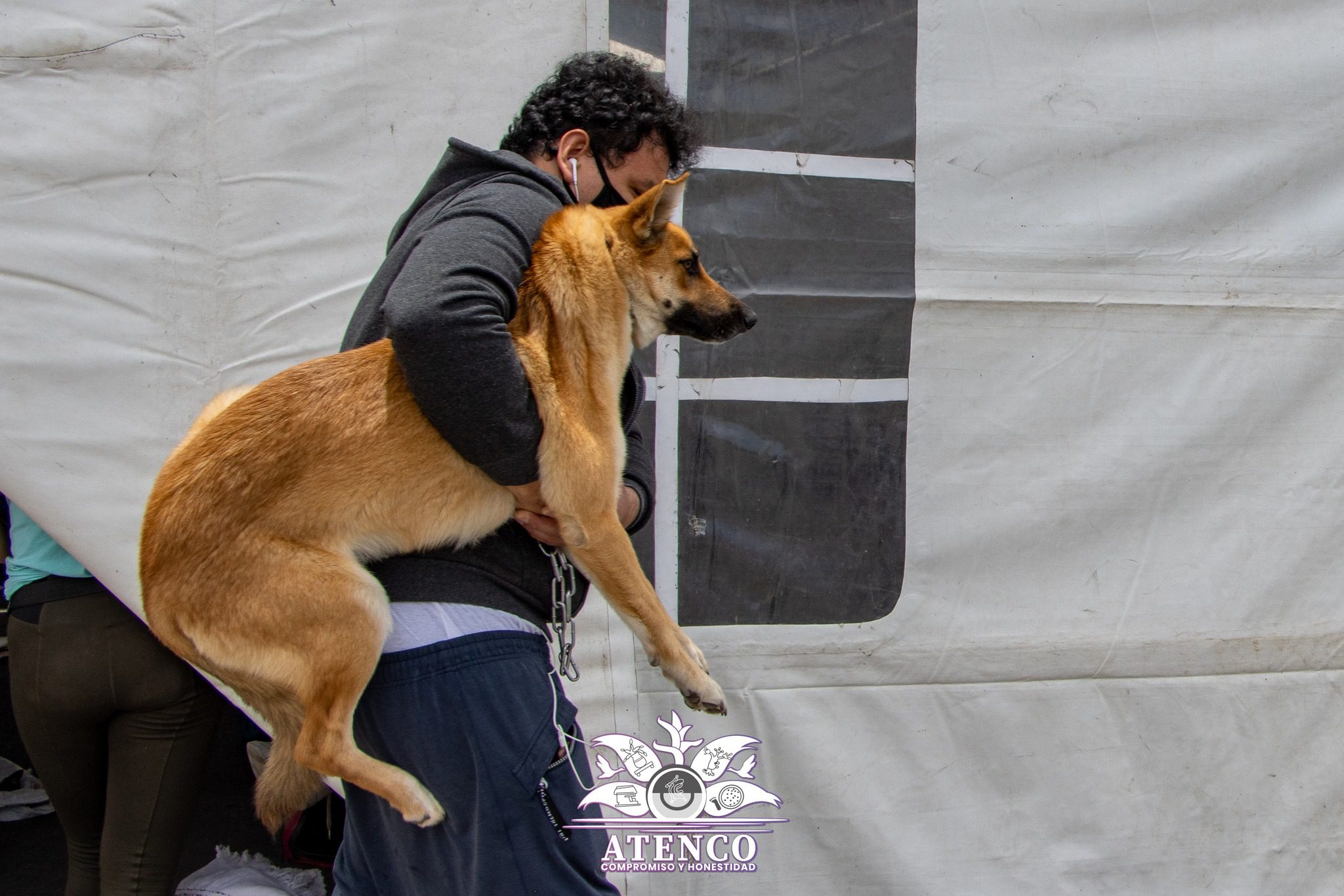 1687995441 984 SEXTA JORNADA DE ESTERILIZACION CANINA Y FELINA 2023