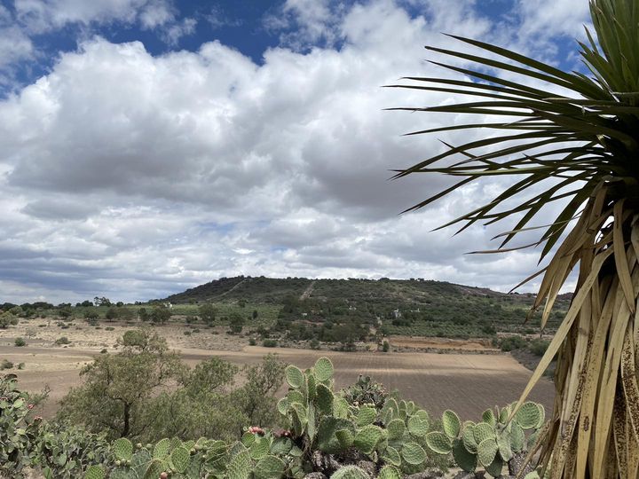 1688056726 Establecer contacto con la belleza de la naturaleza hace la