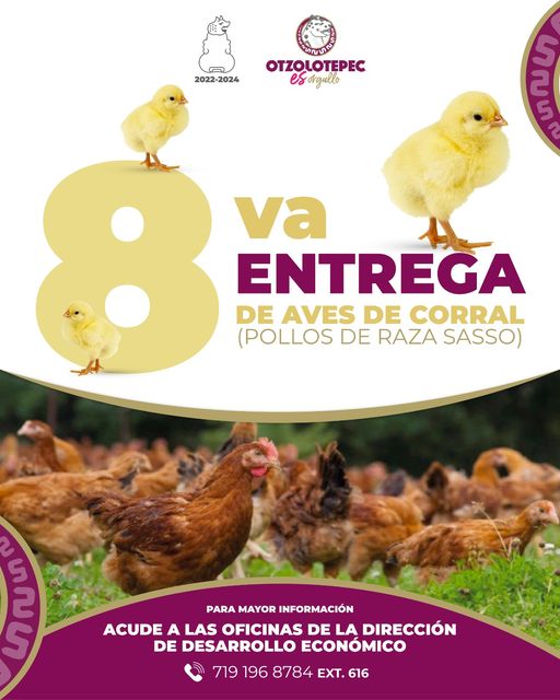 1688065187 Llevaremos a cabo la 8va Entrega de Aves de Corral