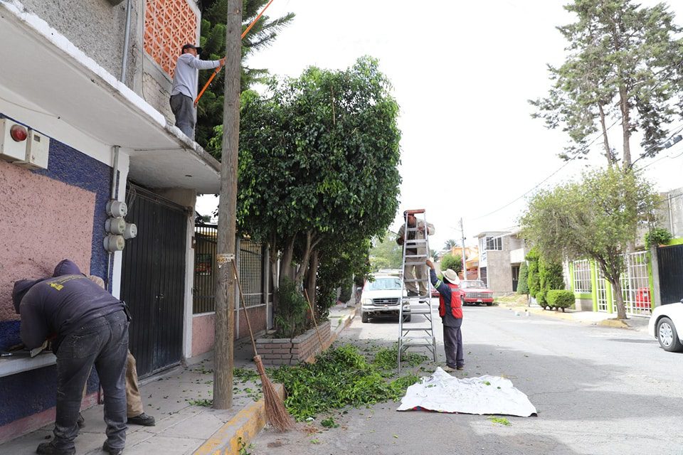 1688069726 799 En la colonia Lazaro Cardenas y en la carretera a