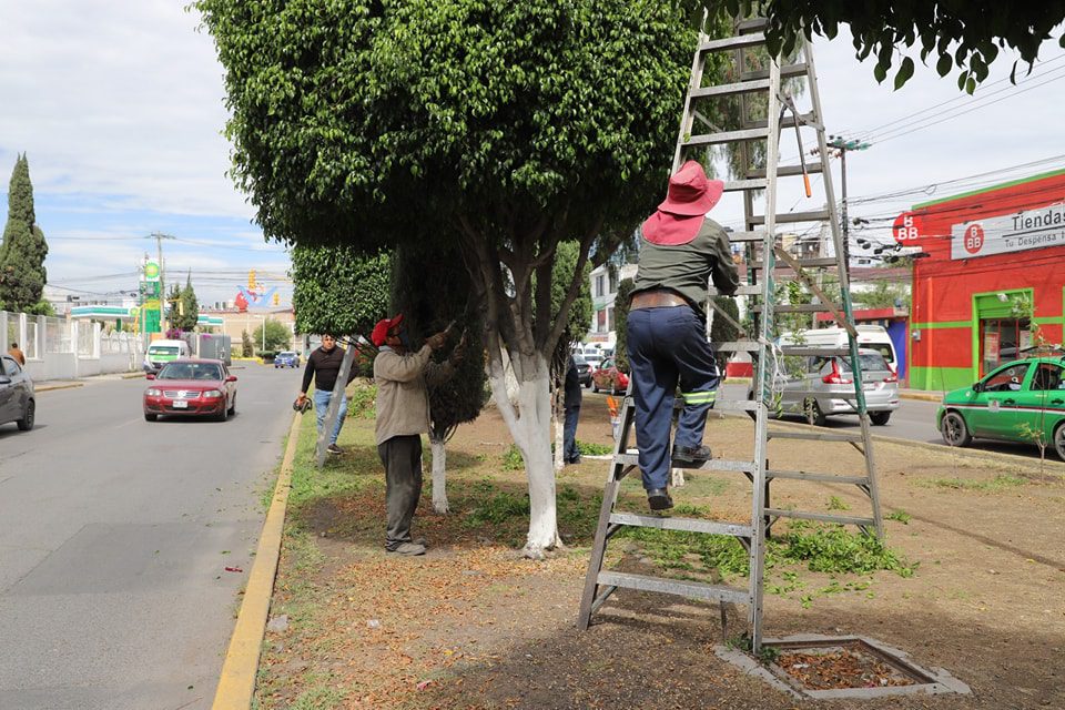 1688069734 631 En la colonia Lazaro Cardenas y en la carretera a