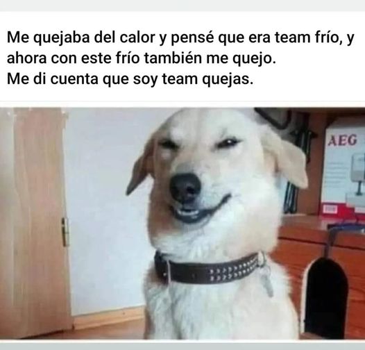 1688074973 Etiqueta a tu amigo del team quejas