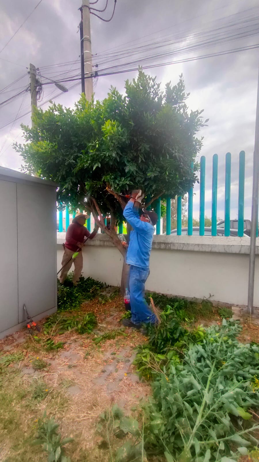 1688129540 825 Por un municipio mas limpio y seguro es por ello