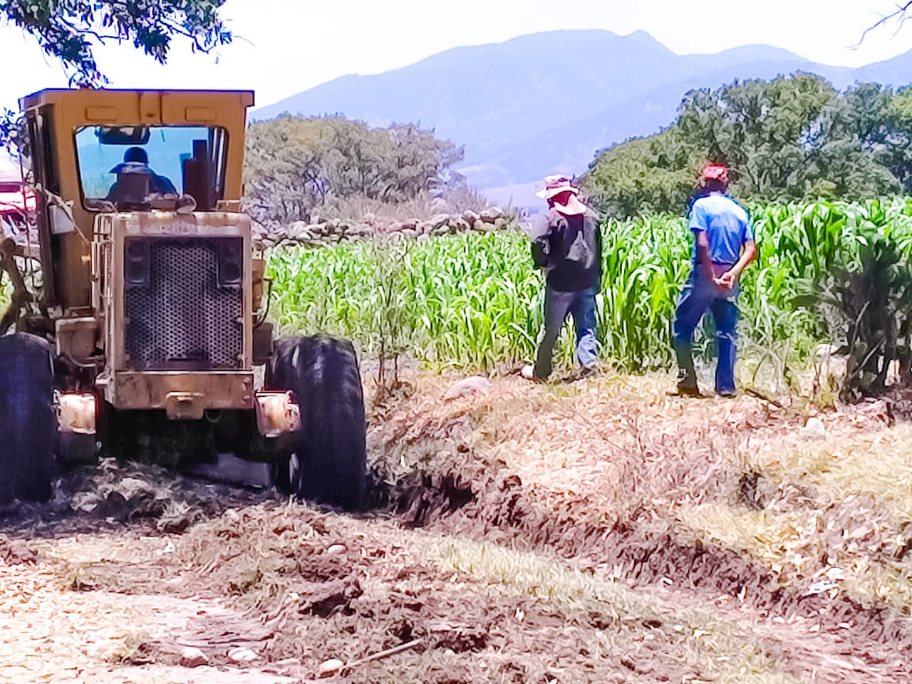 1688143898 Rehabilitacion de Caminos En la comunidad de Xhajay estamos trabajando