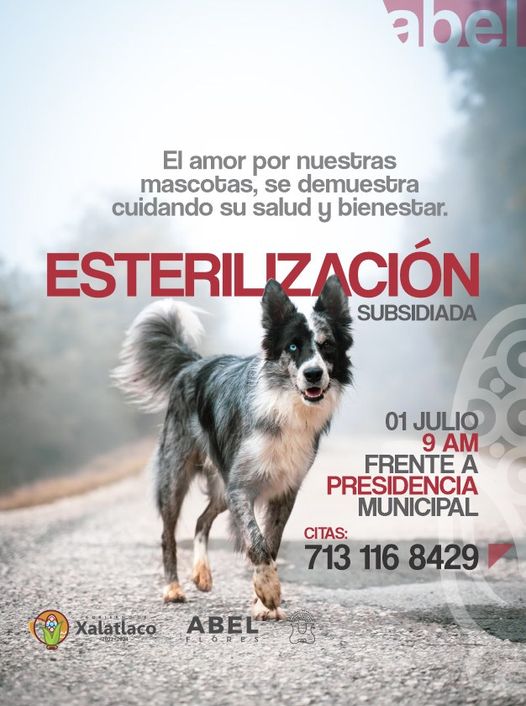 1688156270 Este sabado 01 de julio tendremos ESTERILIZACION SUBSIDIADA