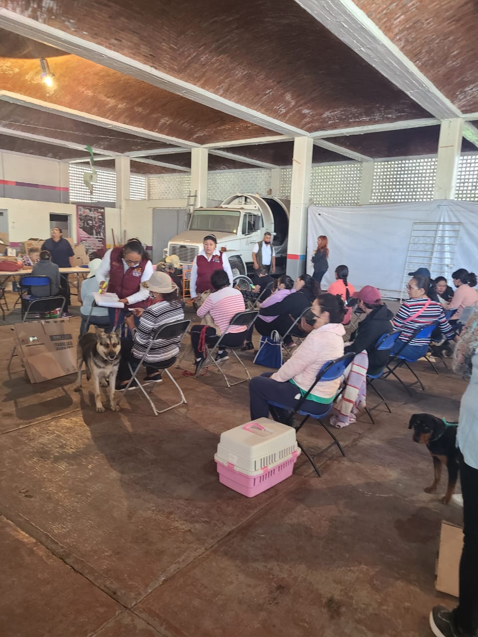 1688162324 838 JORNADA DE ESTERILIZACION CANINA