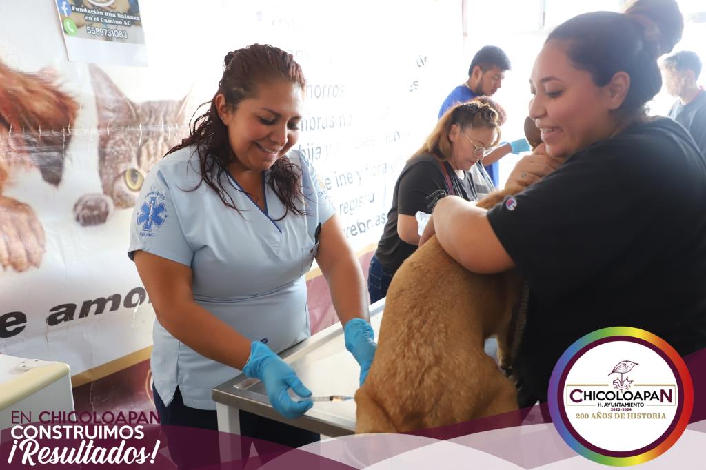 1688163038 98 Este viernes ha comenzado la jornada de vacunacion quintuple para