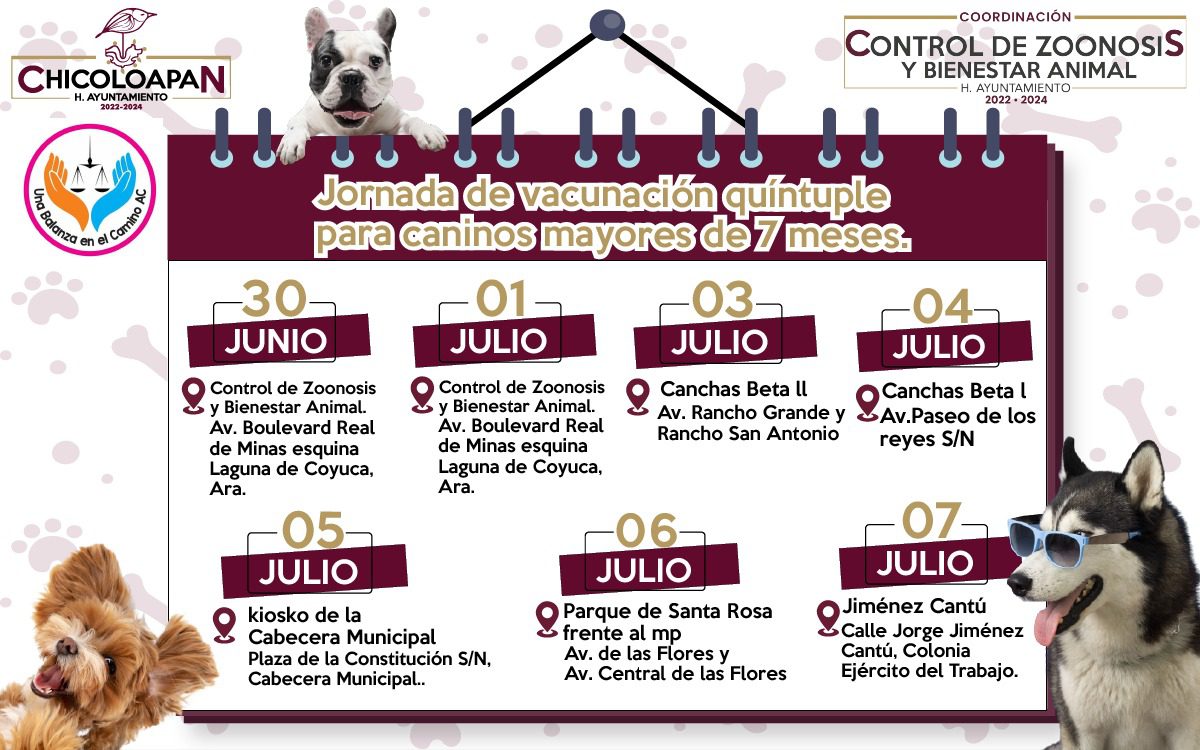 1688163097 Este viernes ha comenzado la jornada de vacunacion quintuple para