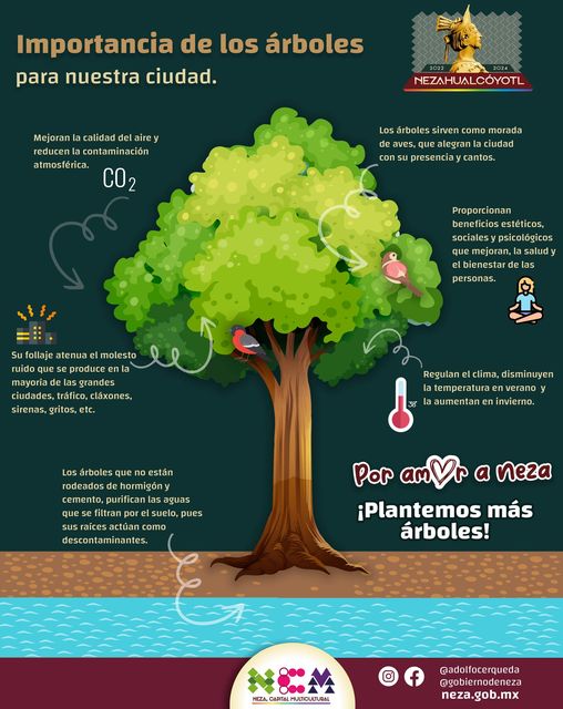 Arboles ¿Por que es importante plantar arboles Plantar un