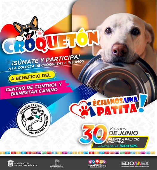 Croqueton ¡Juntos por a los Perritos Sumate a la colecta