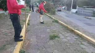 EnVivo Sigue la transmision de la Jornada de Recuperacion de