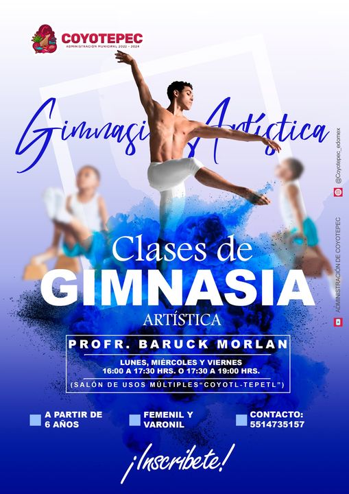 Taller GIMNASIA ARTISTICA ¿Te fascina la destreza ¿Te gustaria