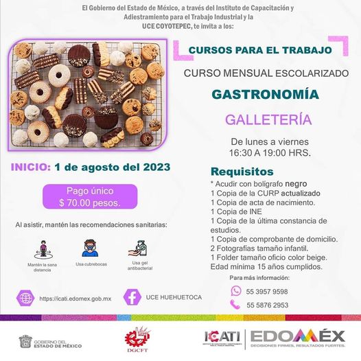 galletas II 𝑪𝑼𝑹𝑺𝑶 𝑫𝑬 𝑮𝑨𝑺𝑻𝑹𝑶𝑵𝑶𝑴𝑰́𝑨 ¿Te gusta hornear galletas o