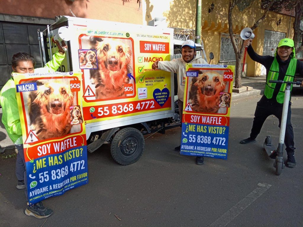 ¡Ayudemos a nuestros vecinos a encontrar a Waffle