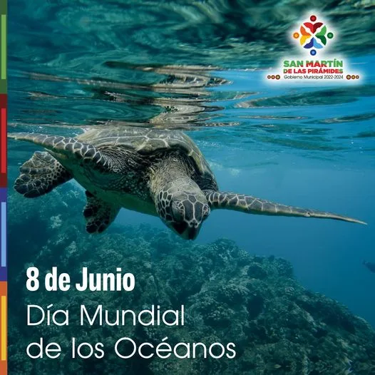 ¡Celebremos hoy el Dia Mundial de los Oceanos jpg