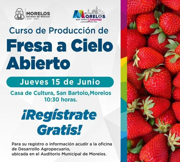 ¡El Gobierno Municipal te invita a inscribirte al curso de jpg