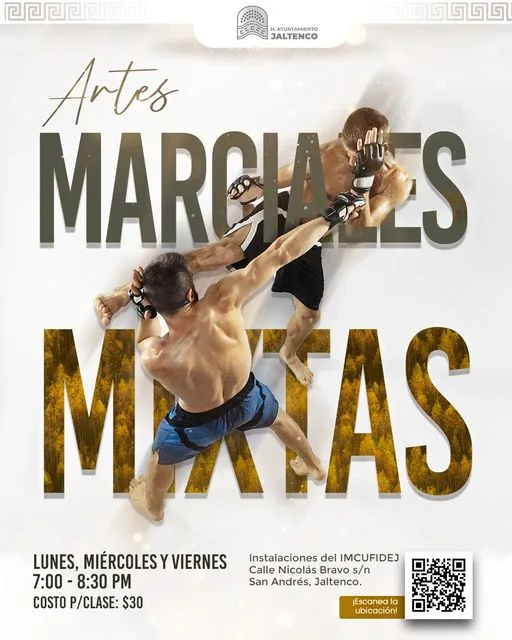 ¡Invitacion a clases de Artes Marciales Mixtas jpg