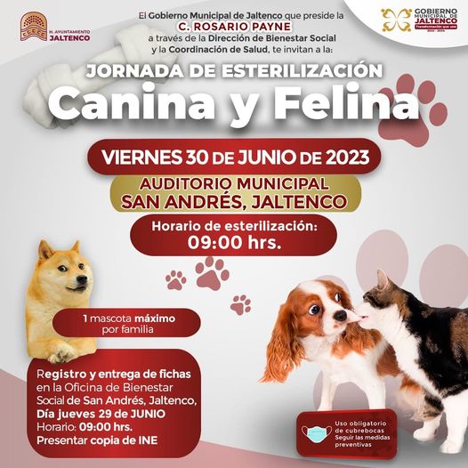 ¡JORNADA DE ESTERILIZACION CANINA