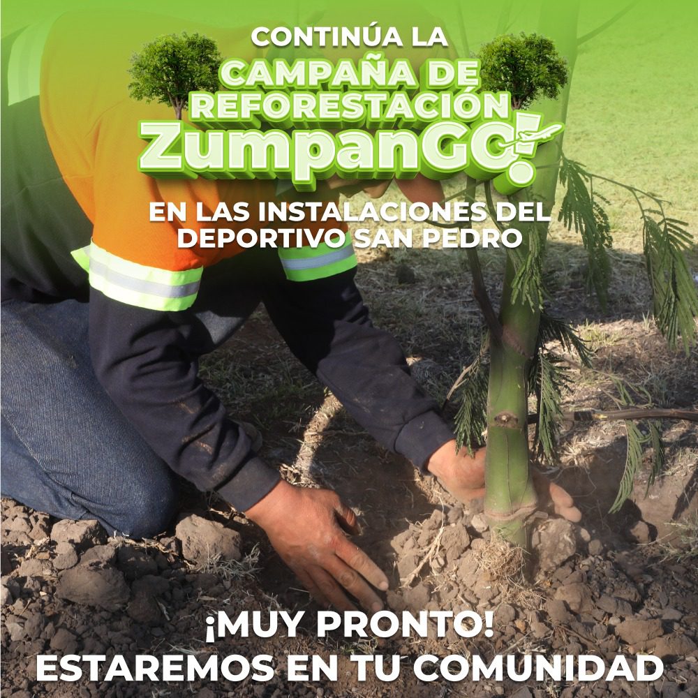 ¡La campana de reforestacion sigue en marcha Zumpango