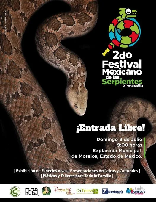 ¡Llega a Morelos el Festival Mexicano de las Serpientes en jpg