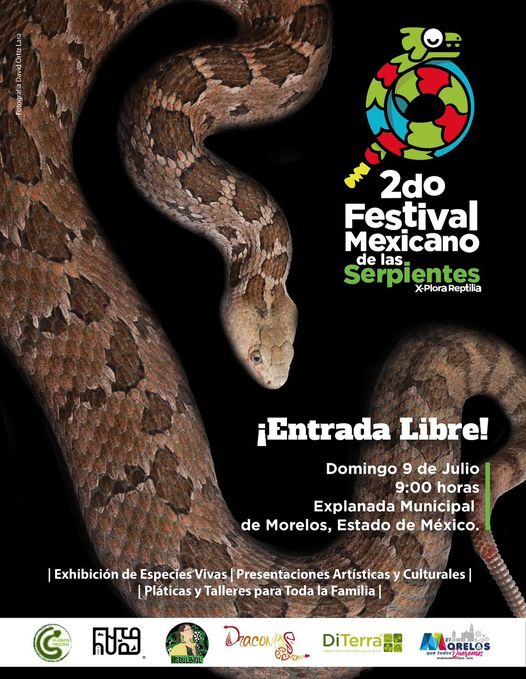 ¡No te puedes perder el 2do Festival Mexicano de las