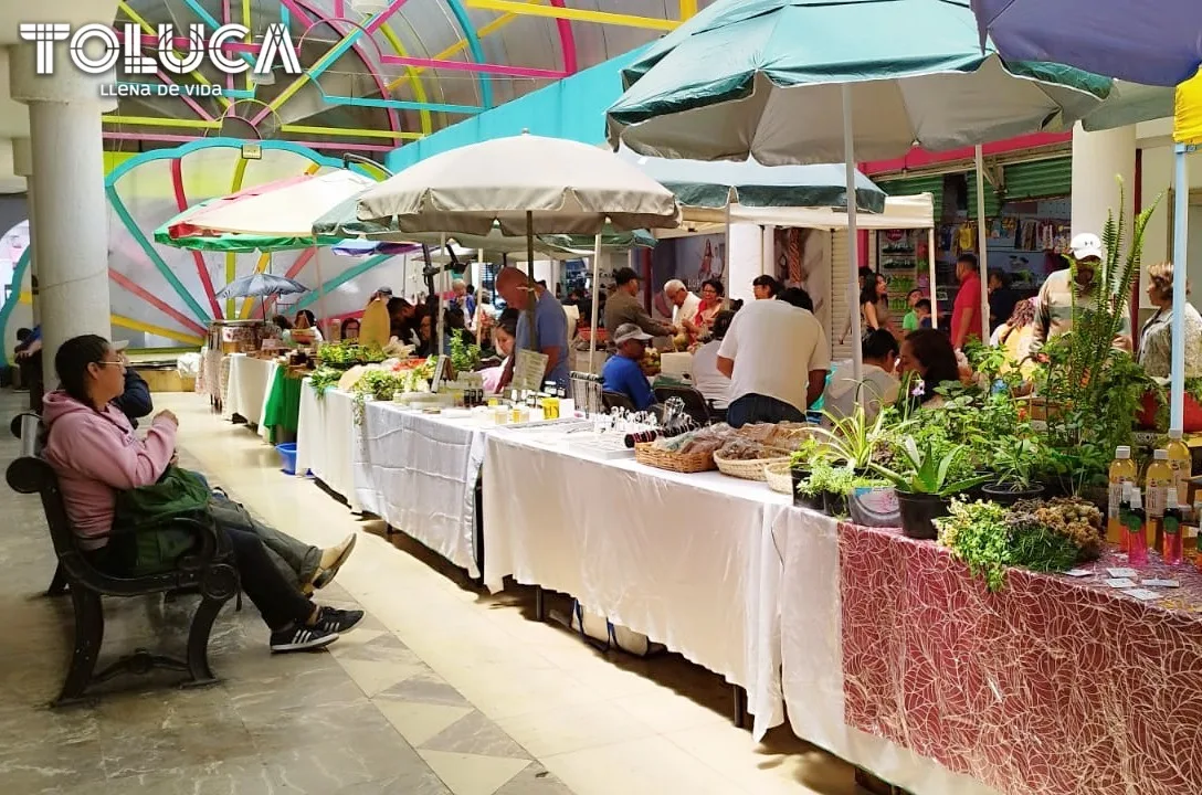 ¡Todavia alcanzas a llegar al Bazar HuertoSustentable del DIF Toluca jpg