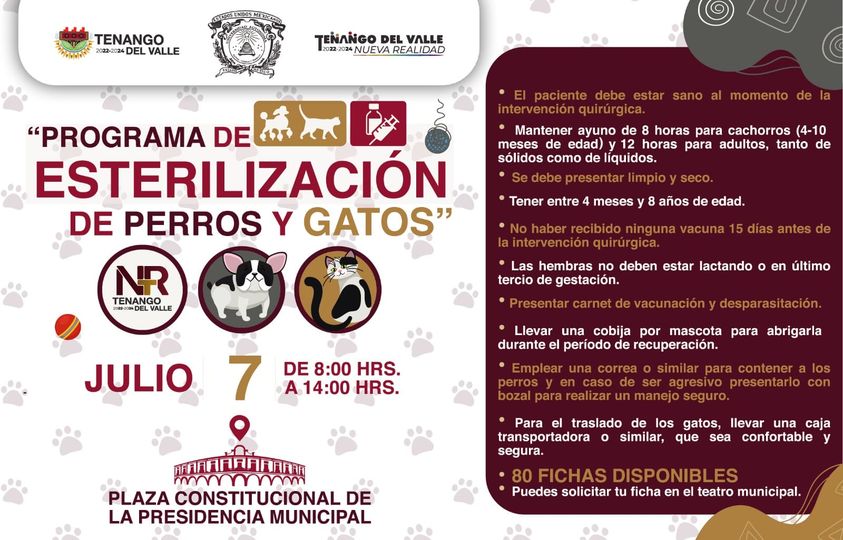 ¡Ya tenemos fecha para la siguiente jornada de esterilizacion canina