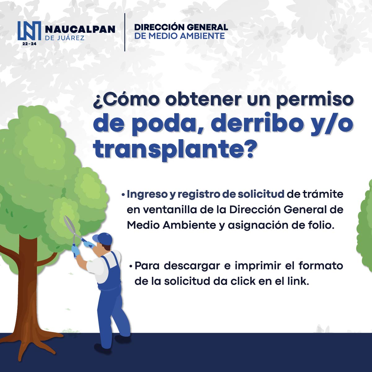 ¿Como obtener un permiso de poda derribo yo transplante En