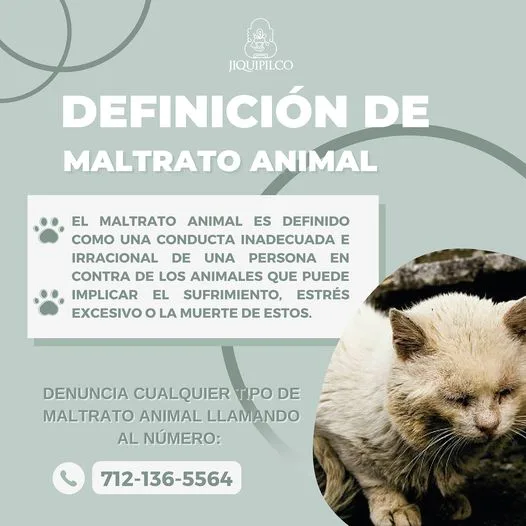 ¿Que es el maltrato animal jpg