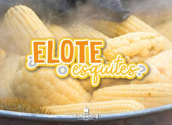 ¿Que te gusta mas un elote o unos esquites