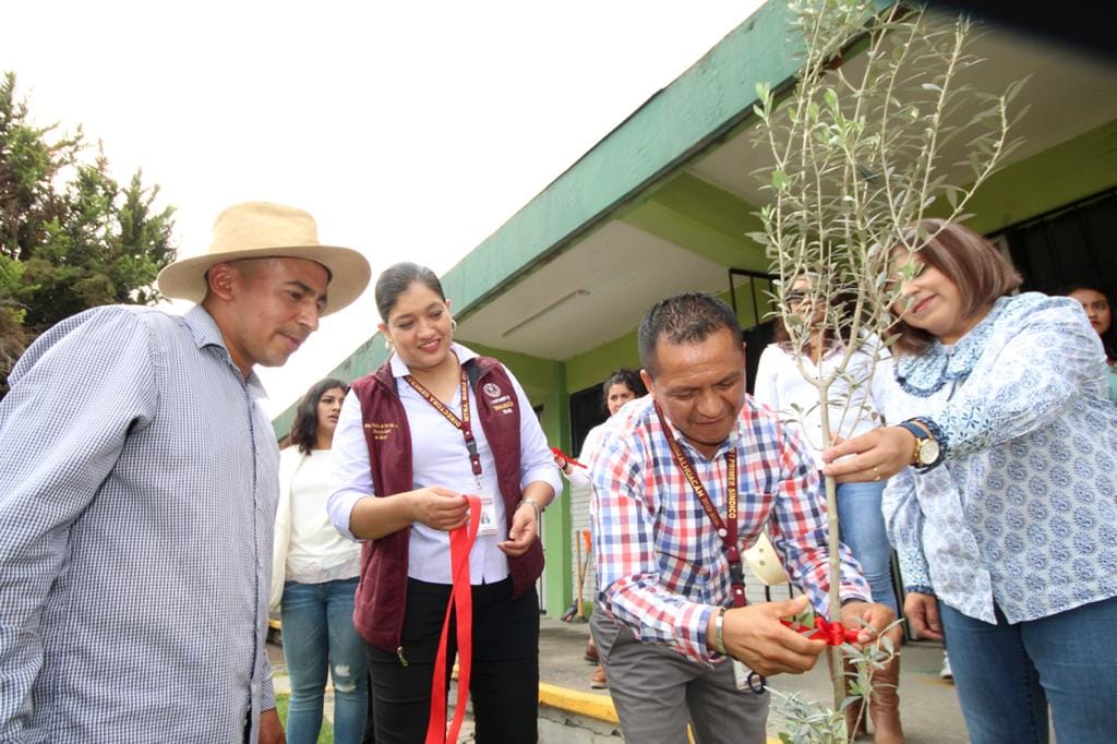 1688222683 511 GOBIERNO DE CHIMALHUACAN INICIA CAMPANA SEMBRANDO UN ARBOL COSECHANDO VIDA