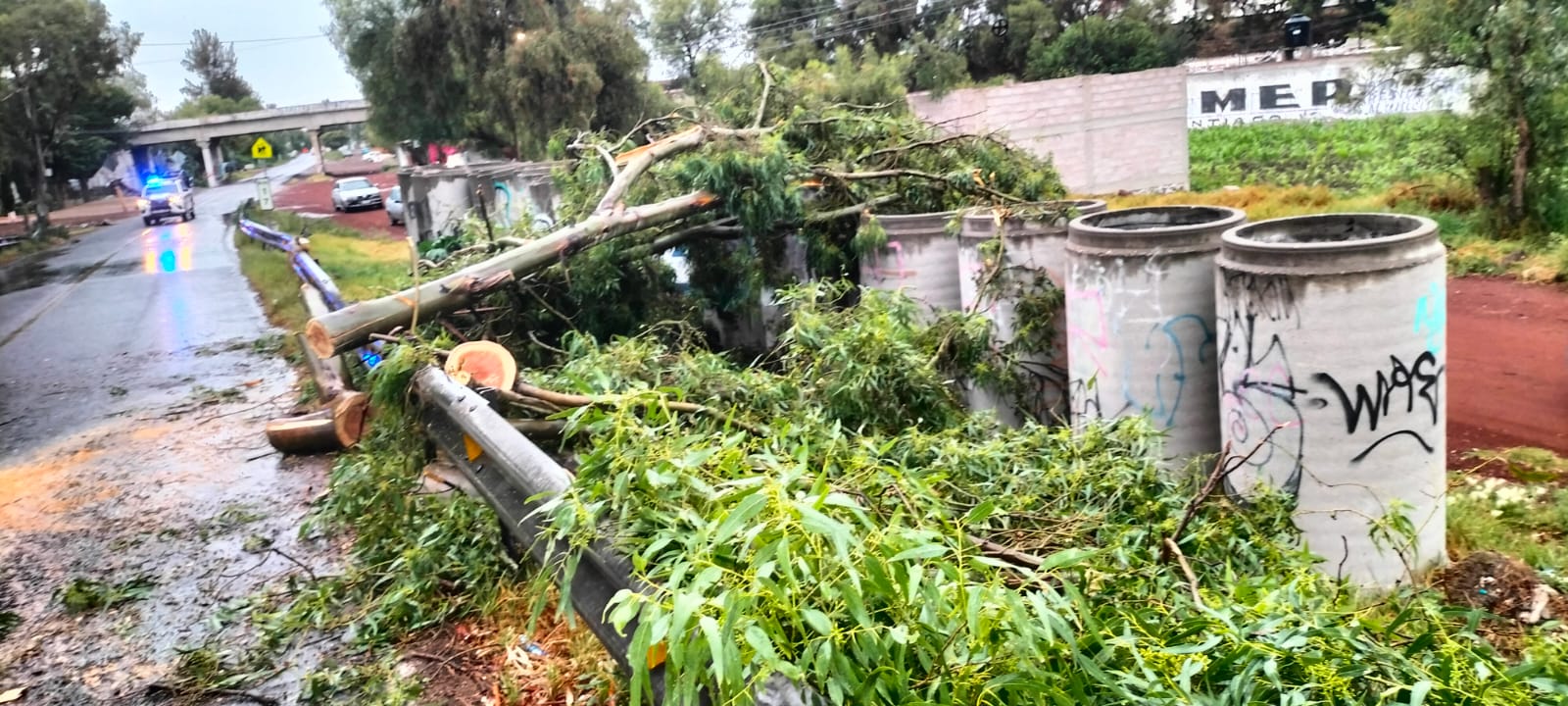 1688228219 943 A causa de la lluvia y viento que se presento