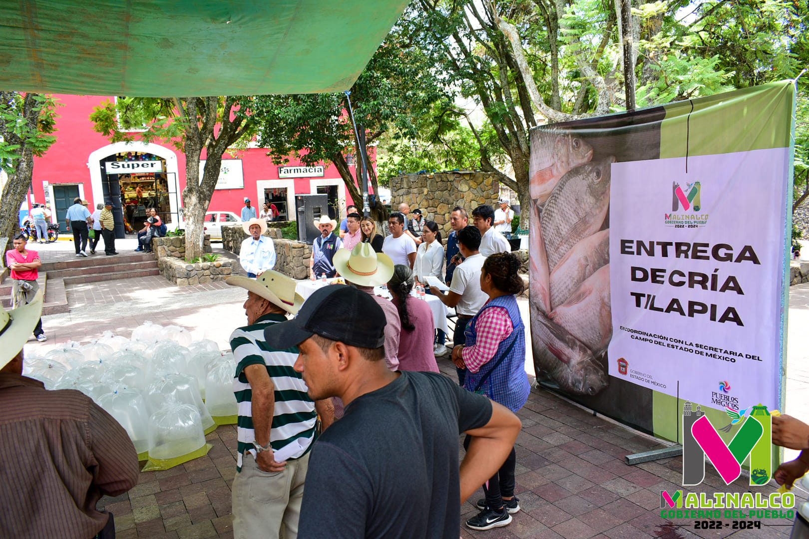 1688233826 790 Se realizo la entrega de Cria tilapia a ciudadanos de