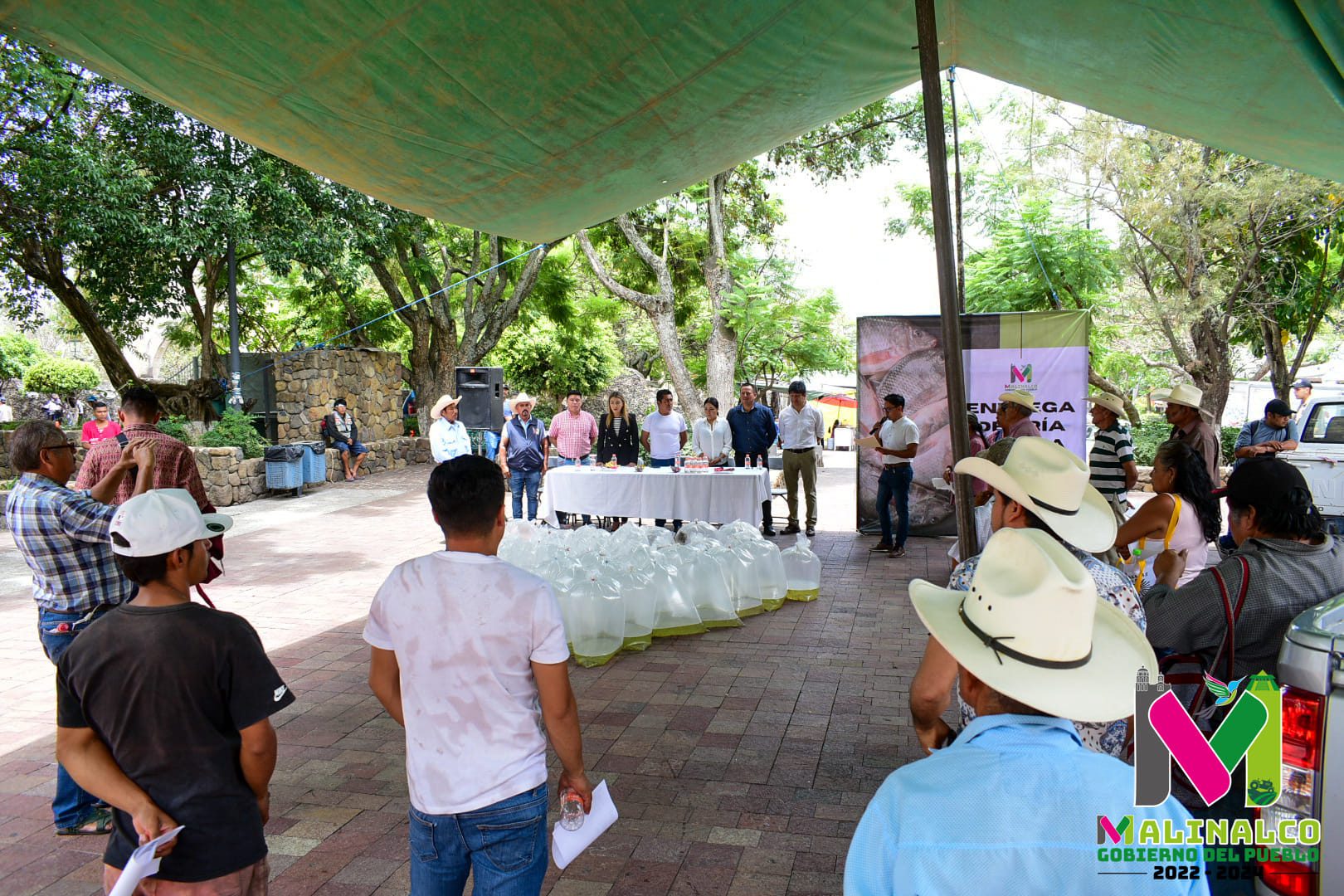 1688233831 836 Se realizo la entrega de Cria tilapia a ciudadanos de