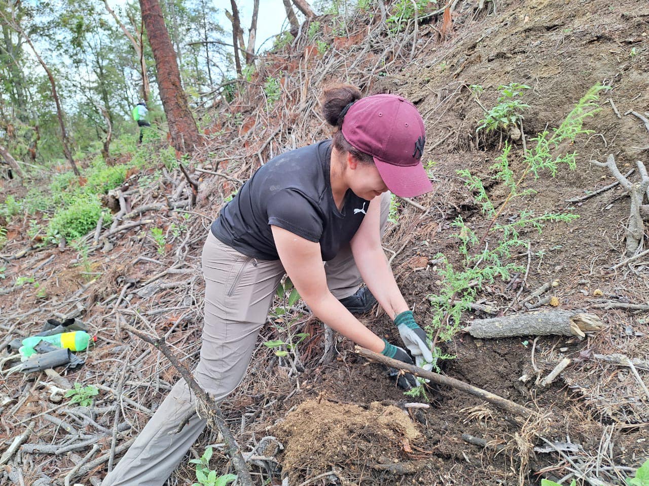 1688308648 991 CampanaDeReforestacion