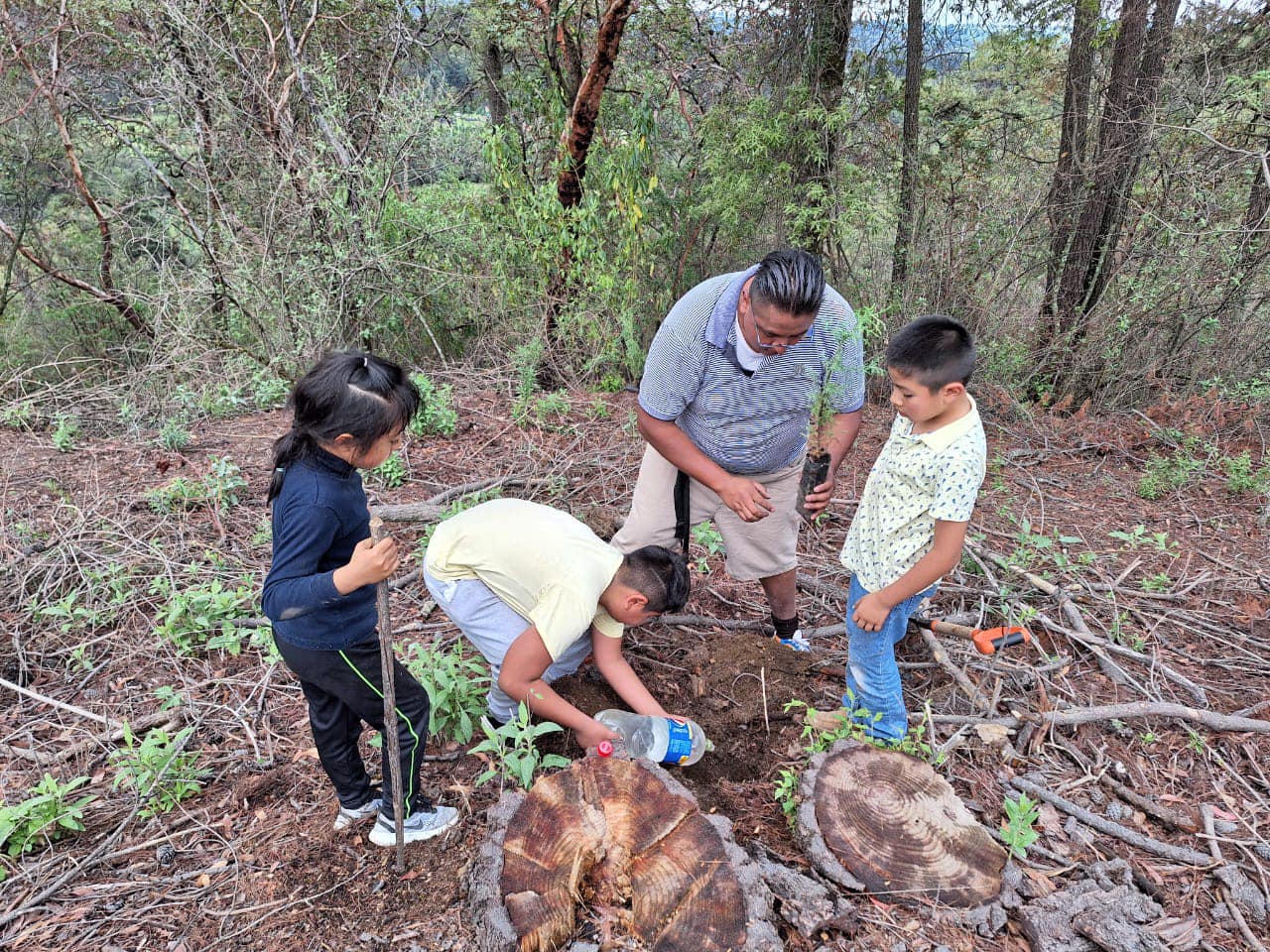 1688308663 786 CampanaDeReforestacion