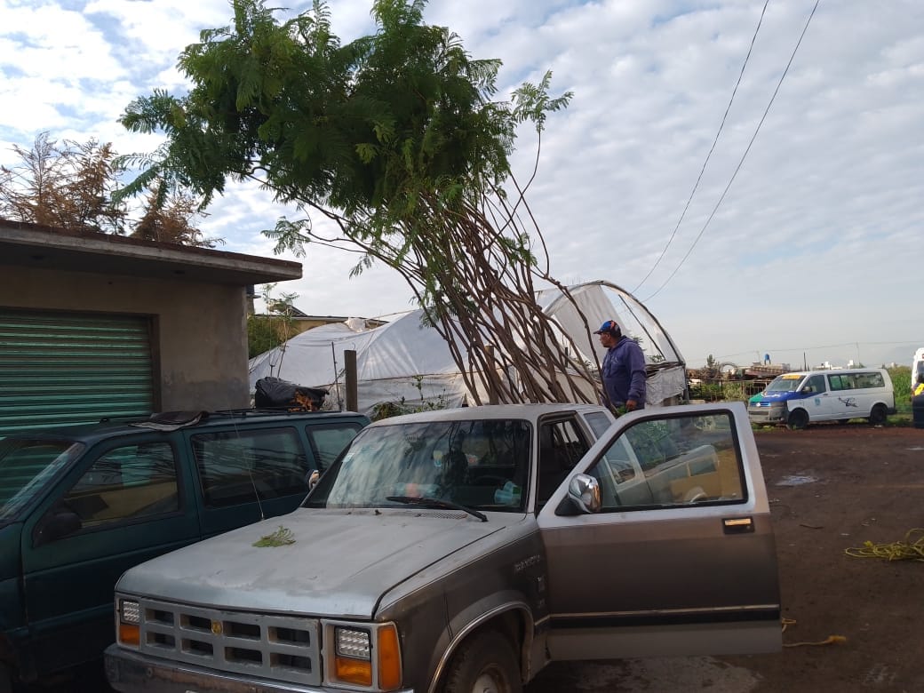 1688313573 700 El Ayuntamiento de Tonanitla la Direccion de Ecologia en conjunto