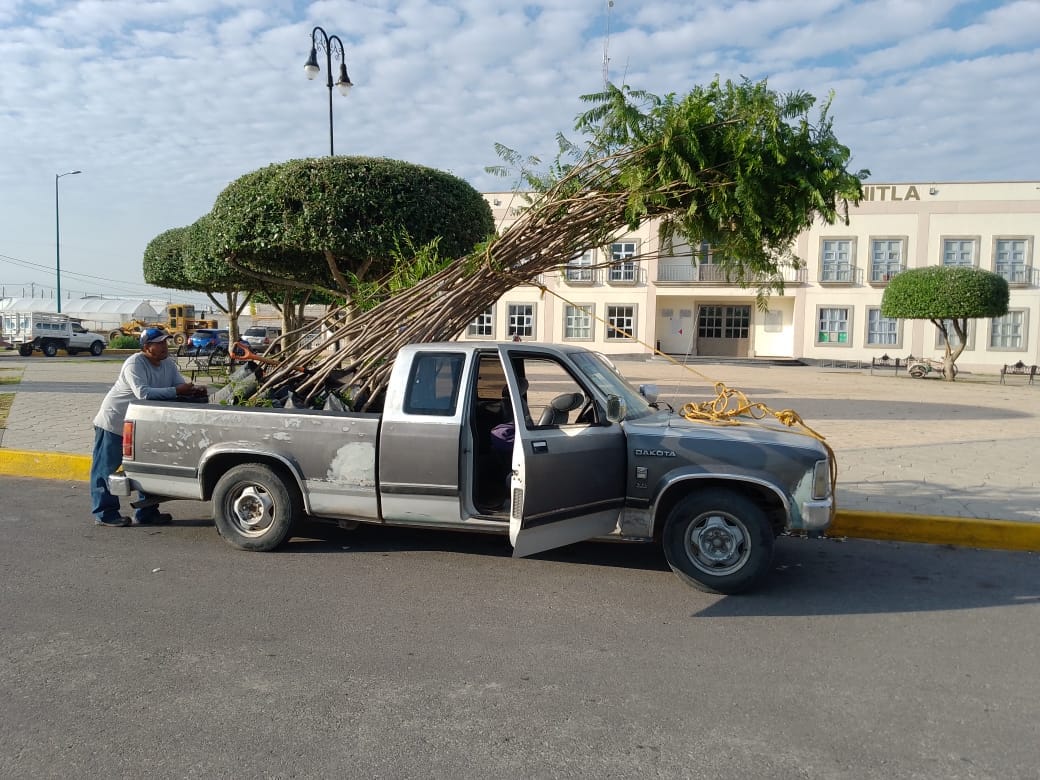 1688313621 El Ayuntamiento de Tonanitla la Direccion de Ecologia en conjunto