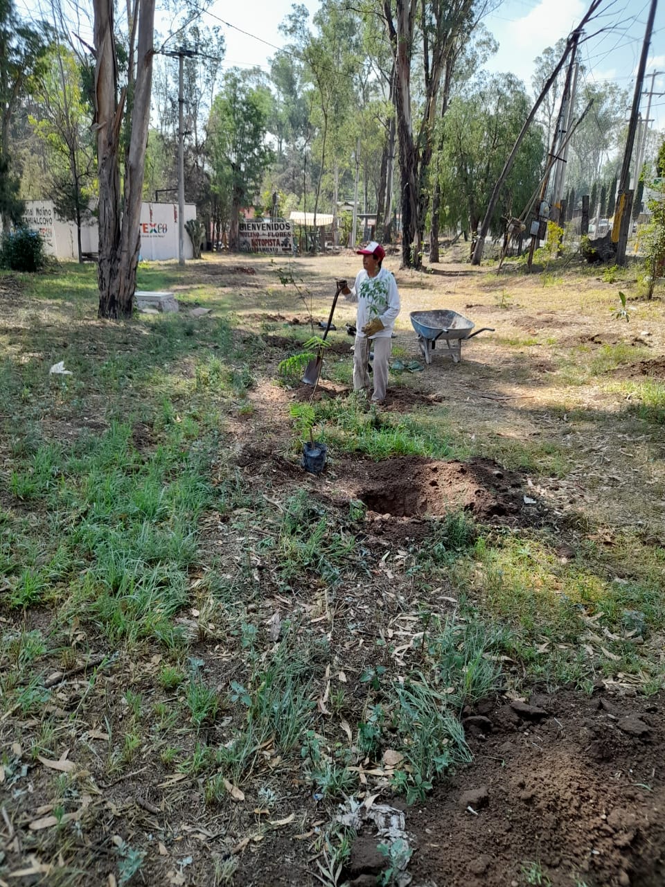 1688316867 665 El Ayuntamiento de Texcoco realiza el mantenimiento de las instalaciones