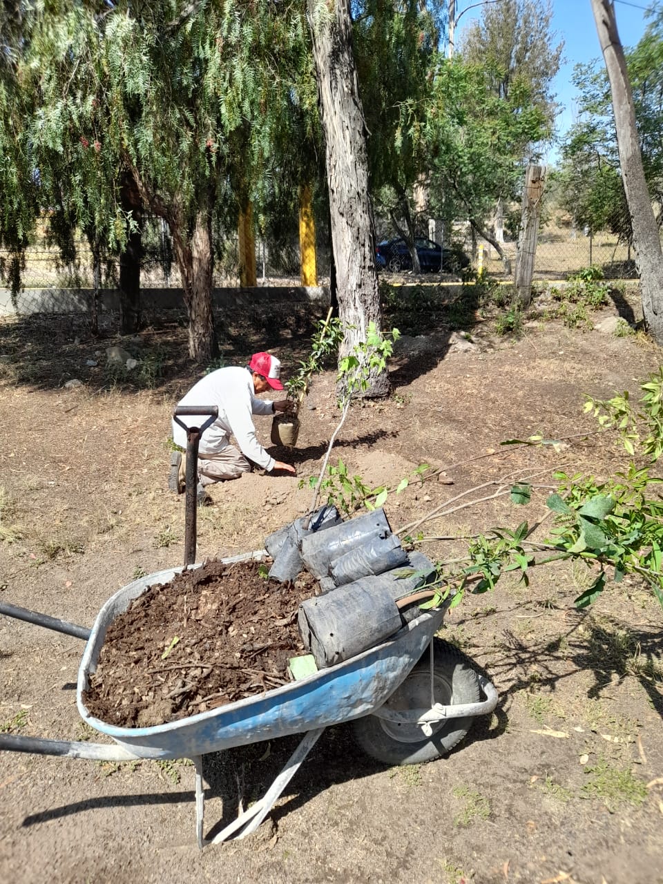 1688316872 271 El Ayuntamiento de Texcoco realiza el mantenimiento de las instalaciones